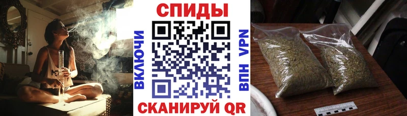 Бутират бутандиол что такое Коряжма