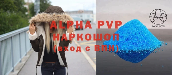 гашик Алексин