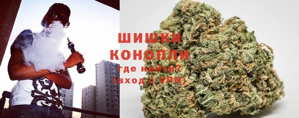 гашик Алексин