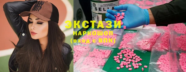 гашик Алексин