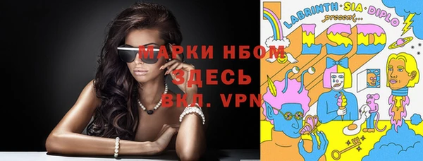 гашик Алексин