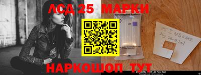 МДПВ Гатчина