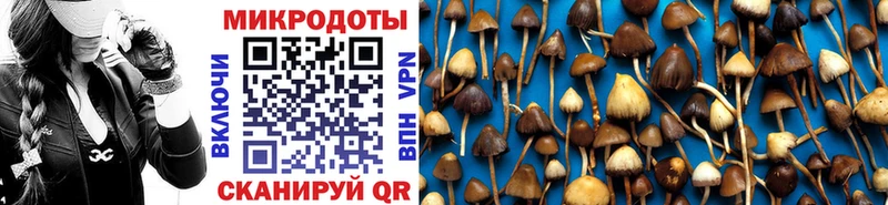 Псилоцибиновые грибы Psilocybe  наркотики  Коряжма 