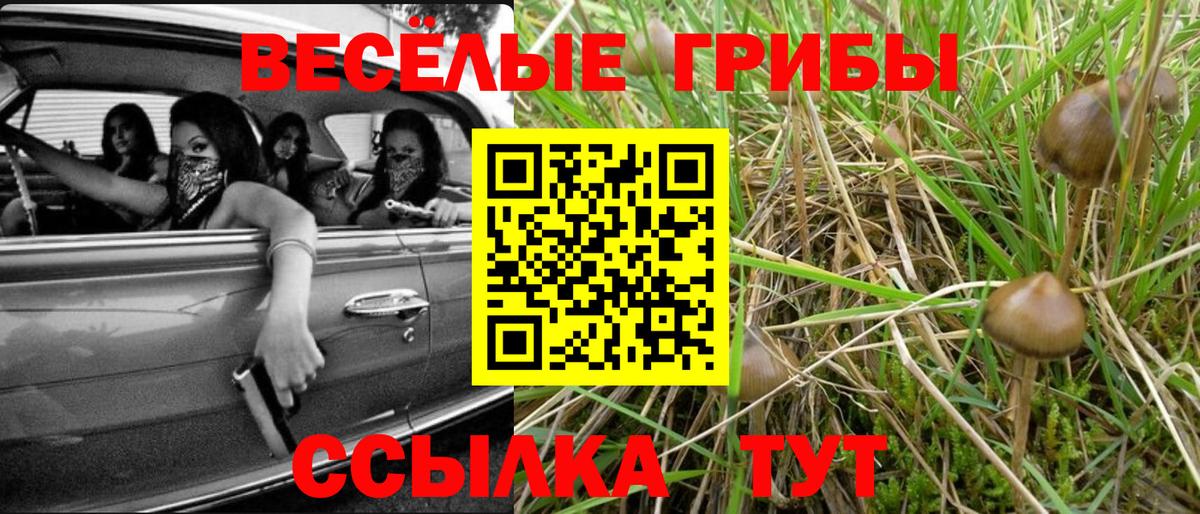 Коряжма  Псилоцибиновые грибы мухоморы  Вход с VPN  Галлюциногенные грибы Psilocybe 