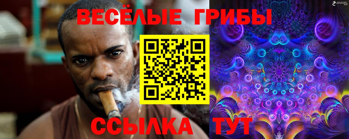 Конопля Коряжма
